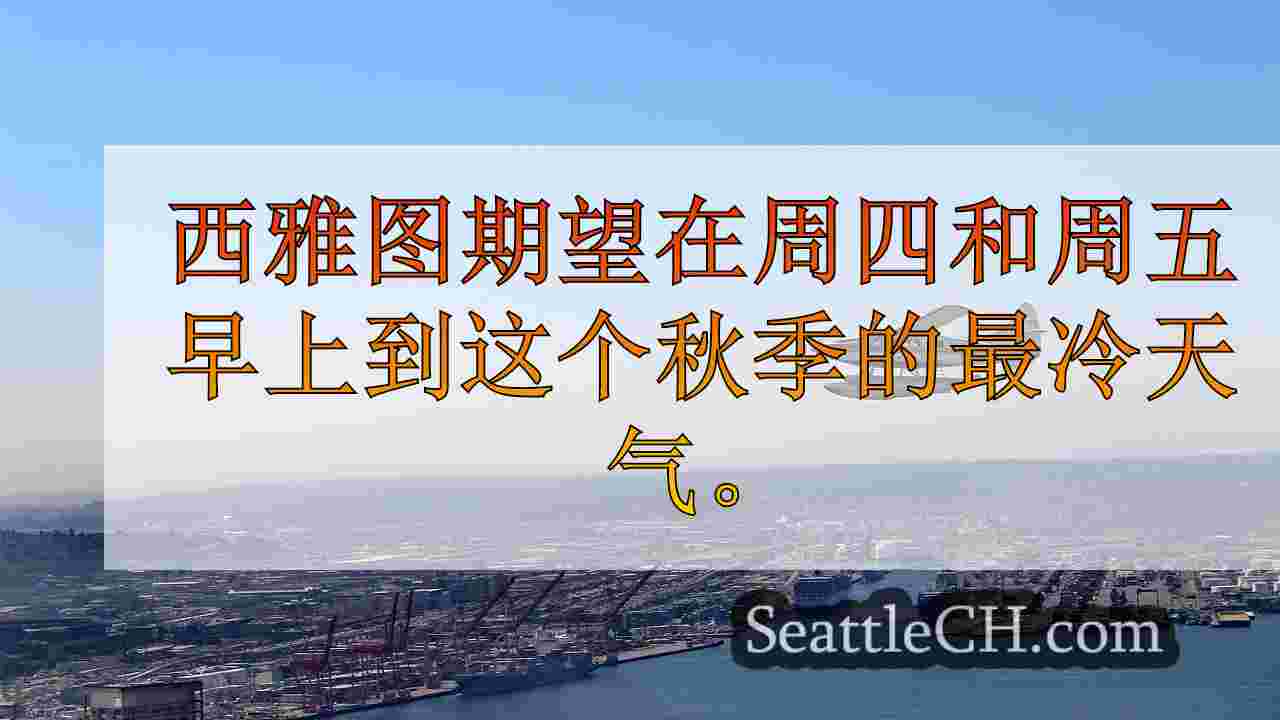 西雅图新闻 SeattleCH