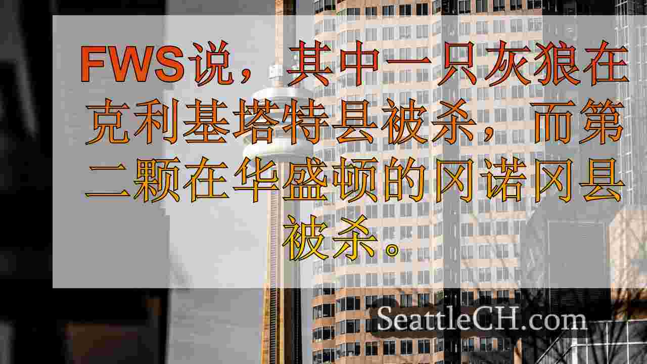 西雅图新闻 SeattleCH