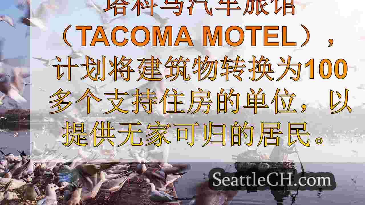 西雅图新闻 SeattleCH
