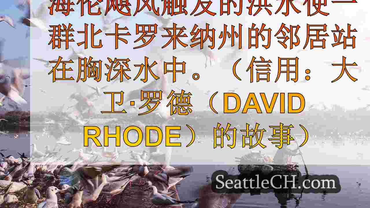 西雅图新闻 SeattleCH