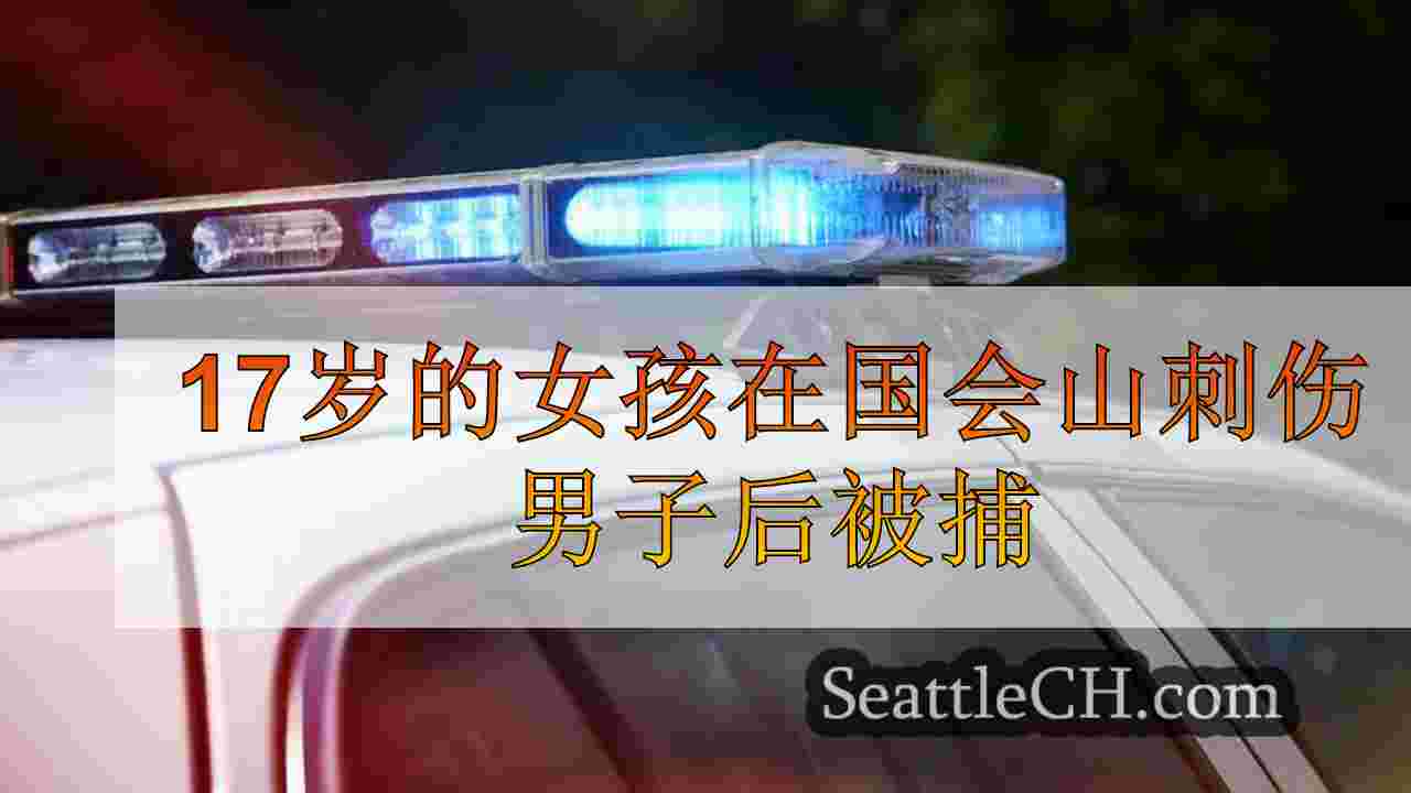 17岁的女孩在国会山刺伤男子后被捕