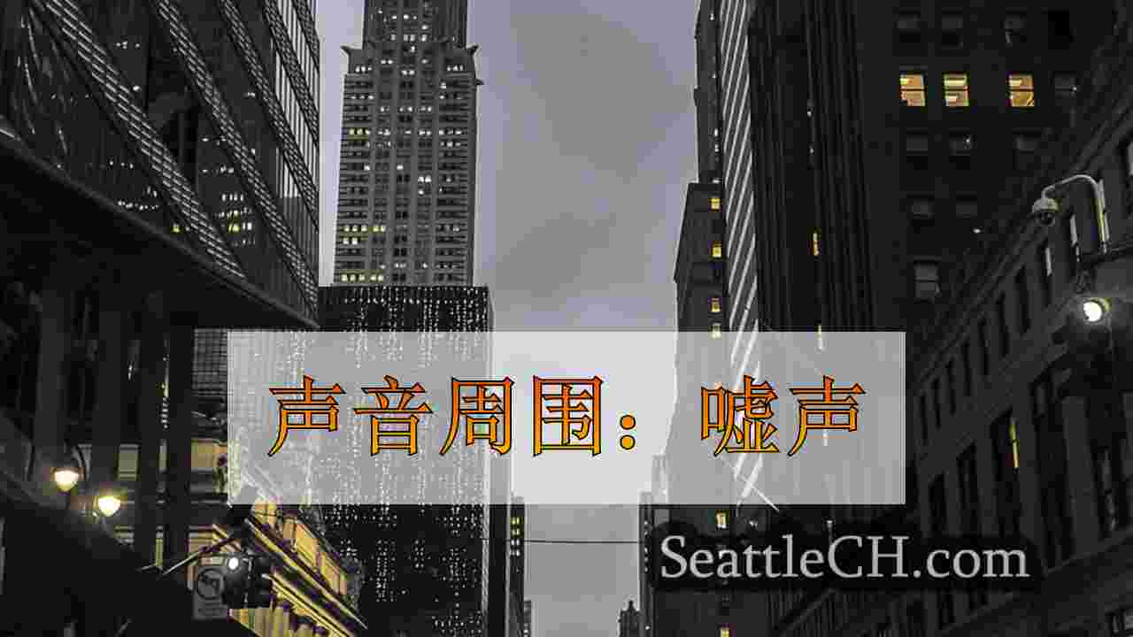 西雅图新闻 SeattleCH