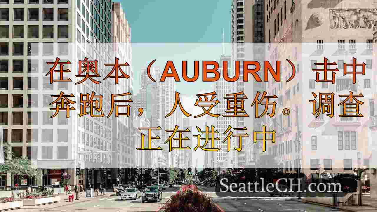 西雅图新闻 SeattleCH