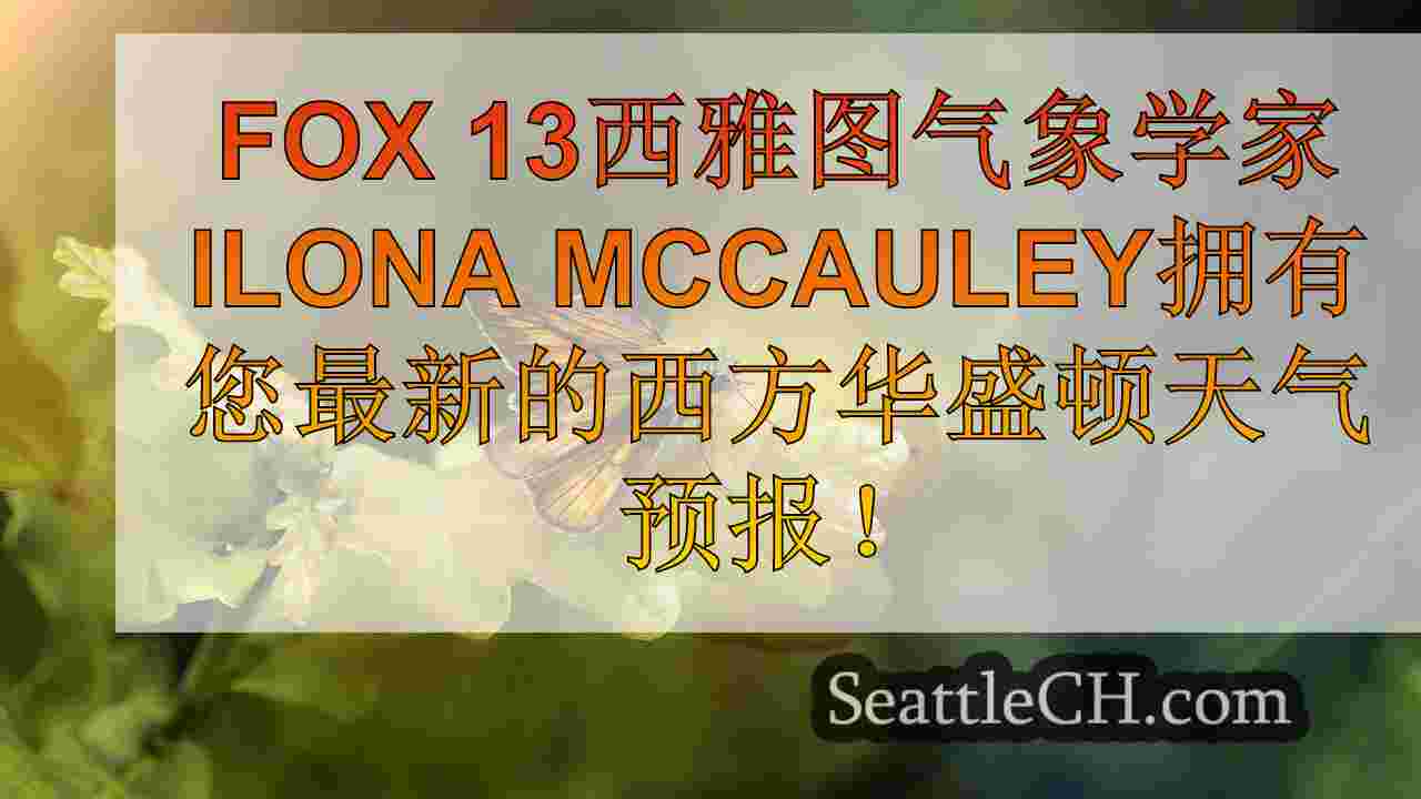 西雅图新闻 SeattleCH