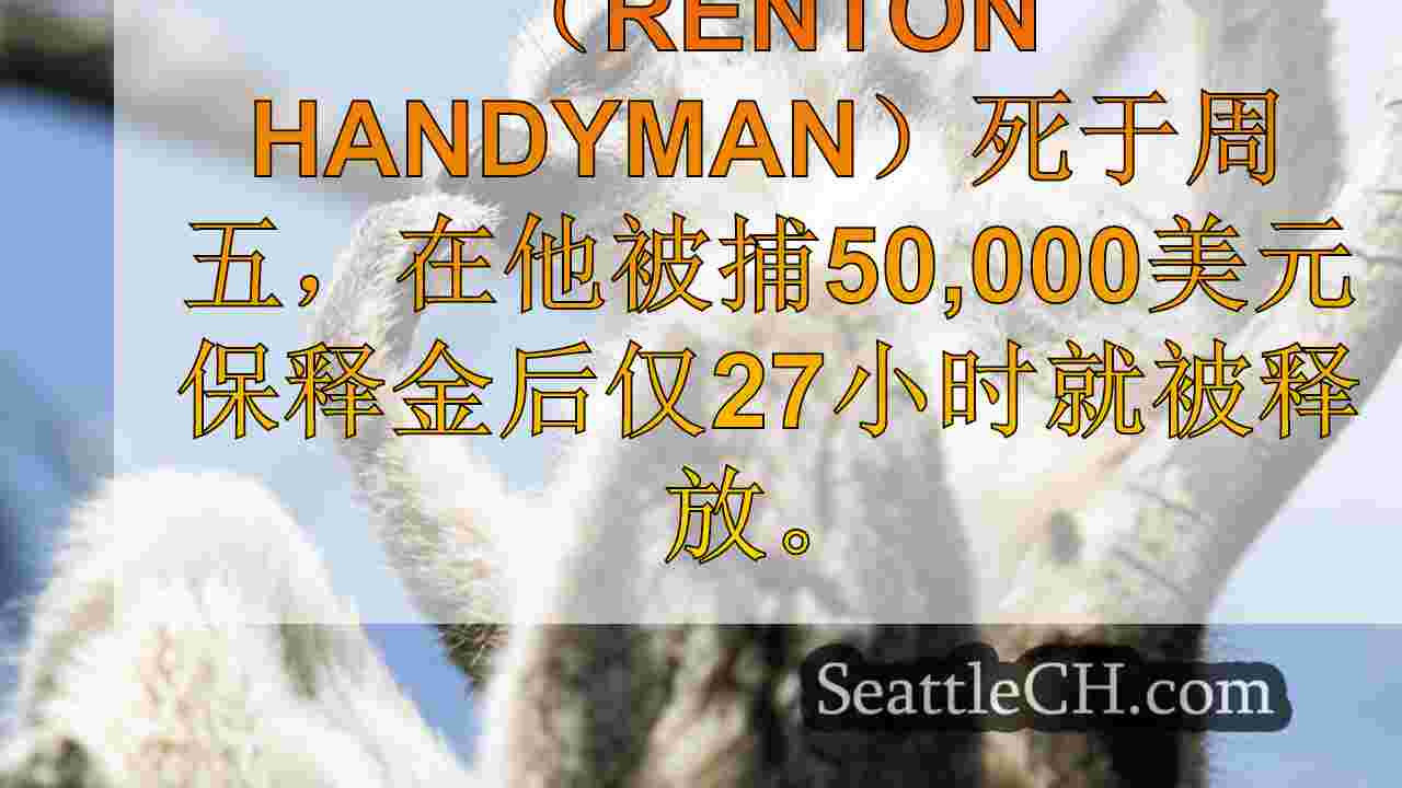 西雅图新闻 SeattleCH