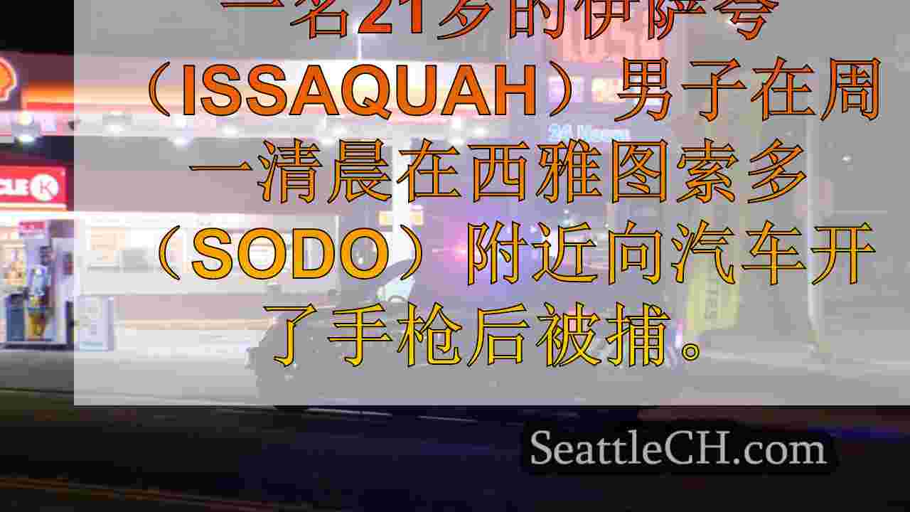 男子在西雅图在冰容器争端上开车后被捕