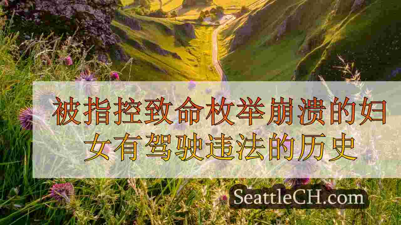 西雅图新闻 SeattleCH