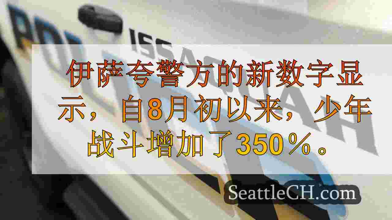 伊萨夸警察局报告说，少年的战斗增加了350％
