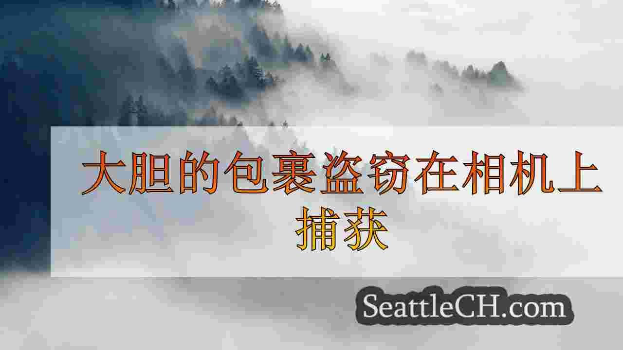 西雅图新闻 SeattleCH
