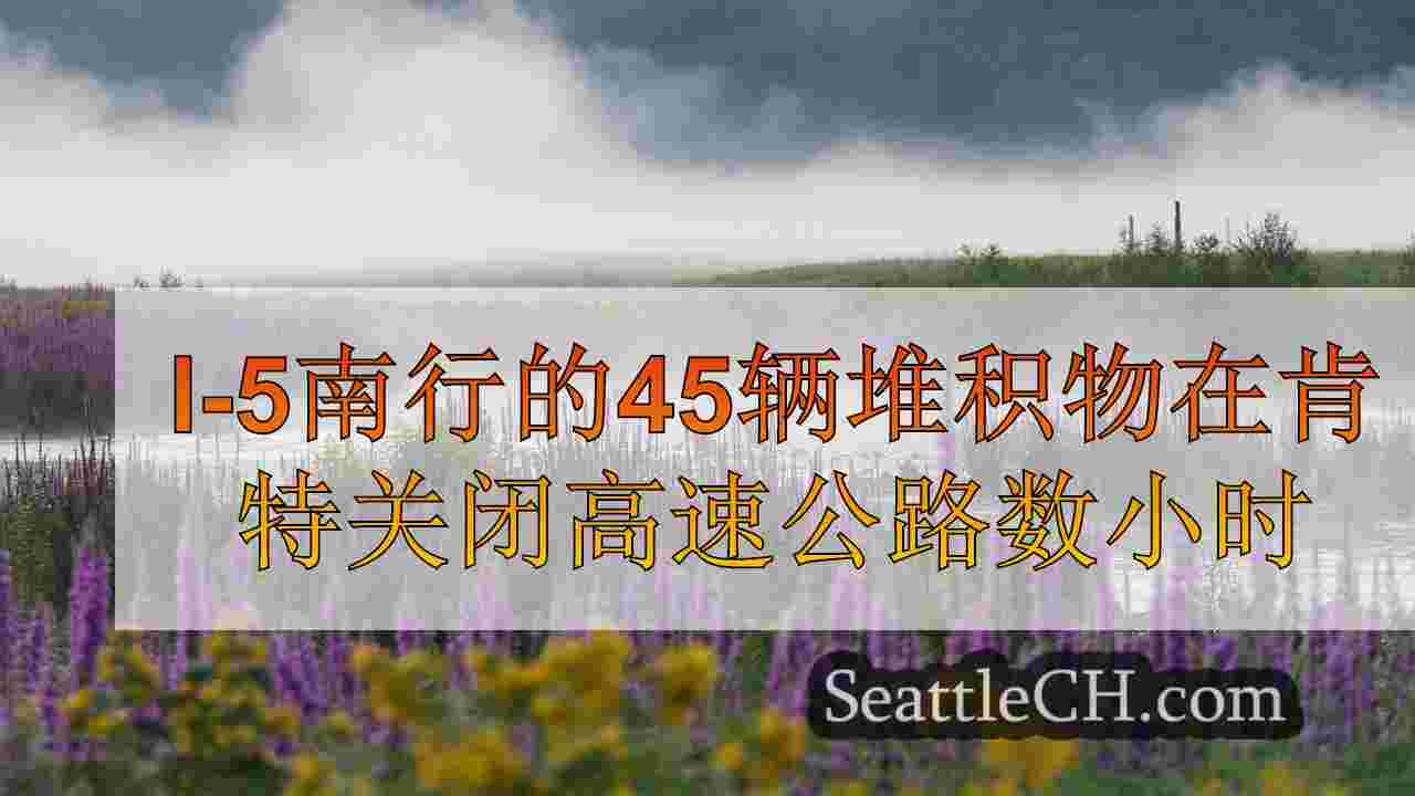I-5南行的45辆堆积物在肯特关闭高速公路数小时