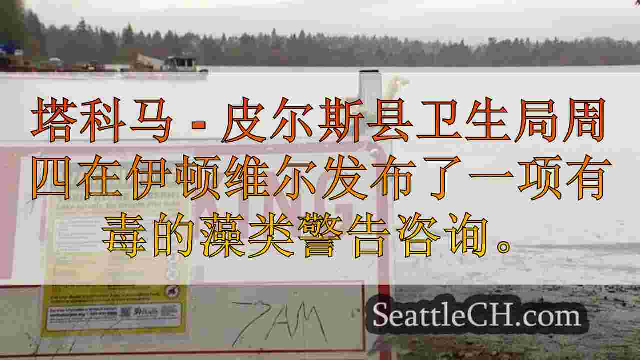 西雅图新闻 SeattleCH
