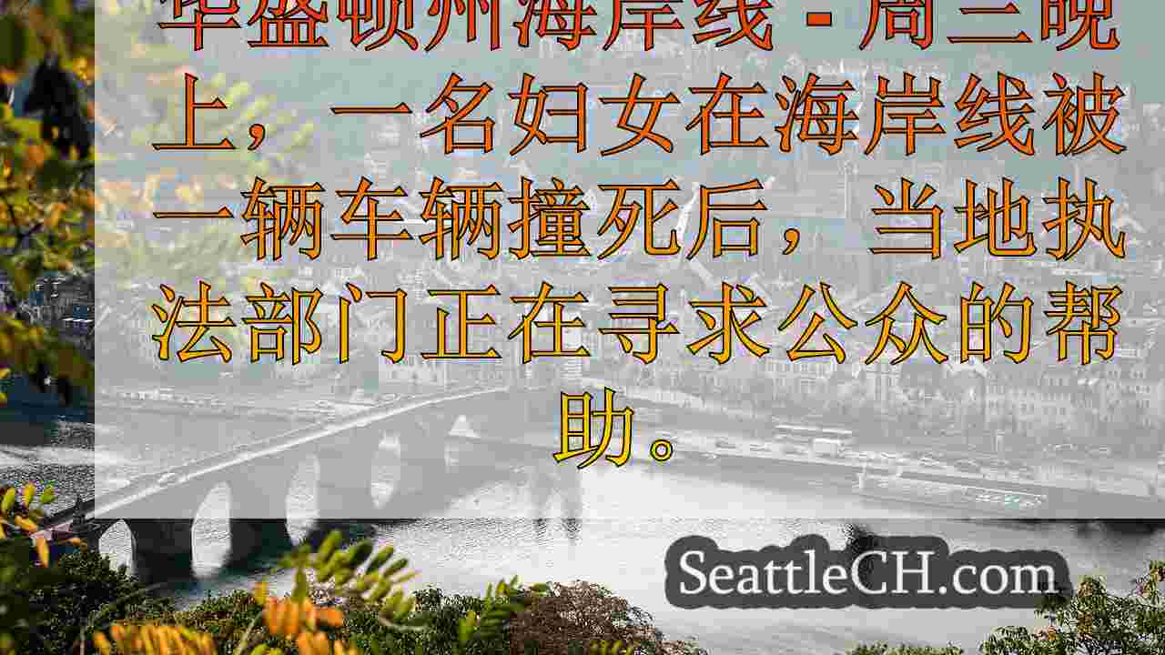 西雅图新闻 SeattleCH