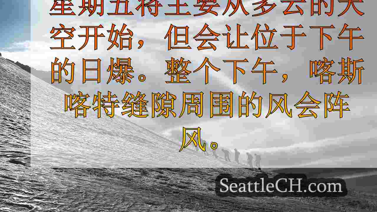 西雅图新闻 SeattleCH