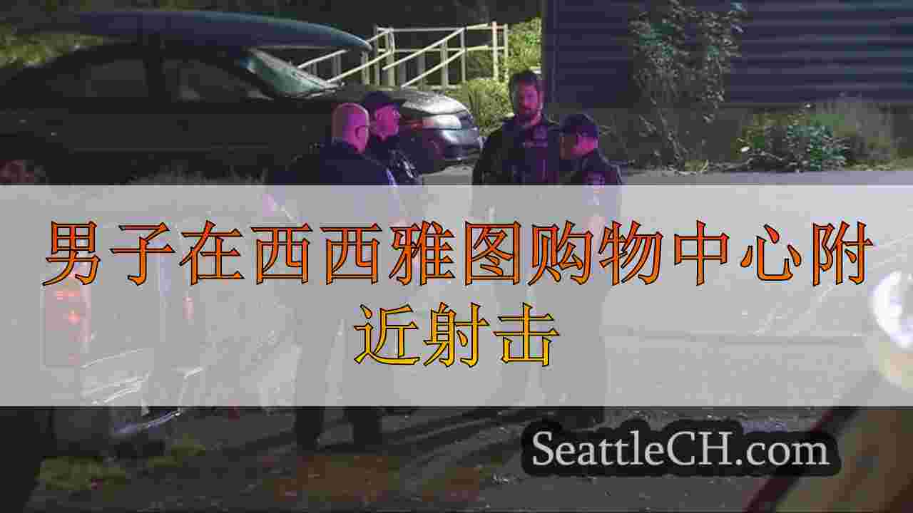 男子在西西雅图购物中心附近射击