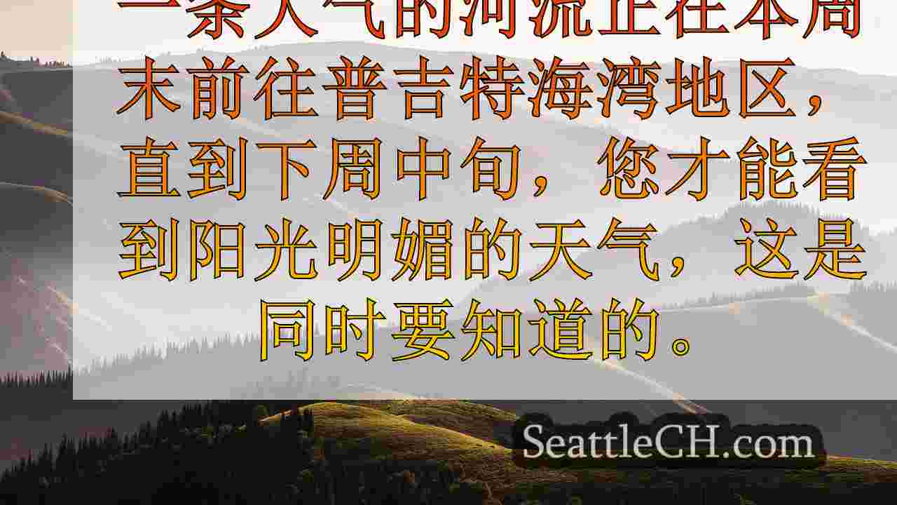 西雅图新闻 SeattleCH