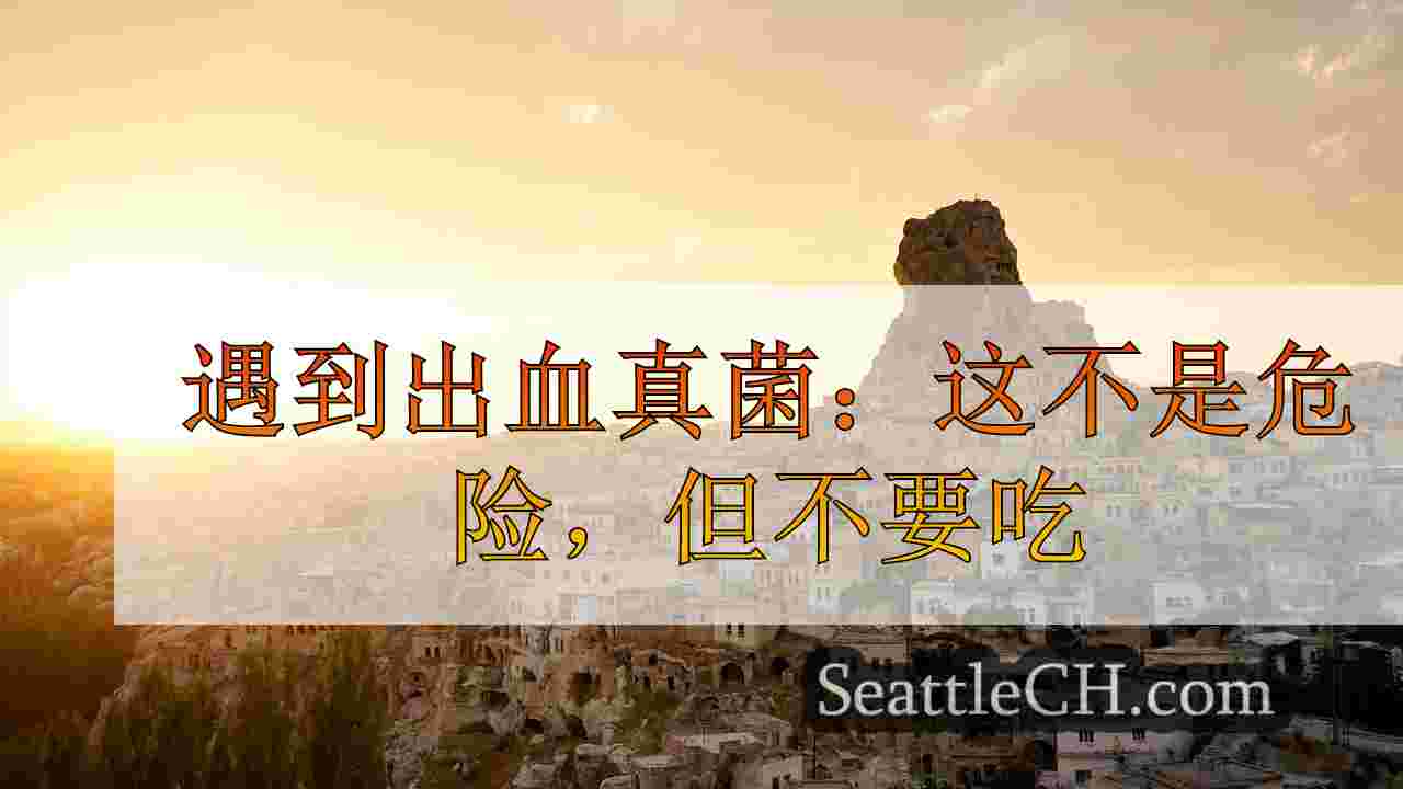 西雅图新闻 SeattleCH