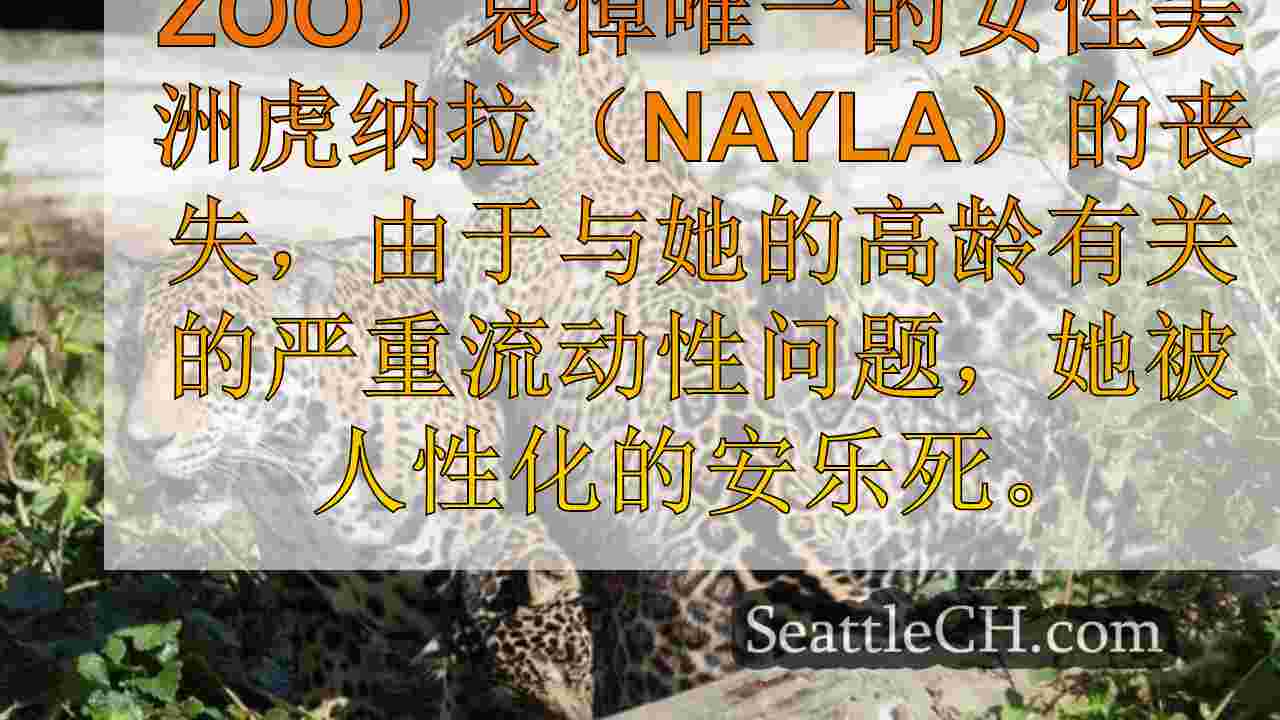 西雅图新闻 SeattleCH