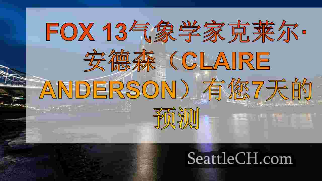 西雅图新闻 SeattleCH