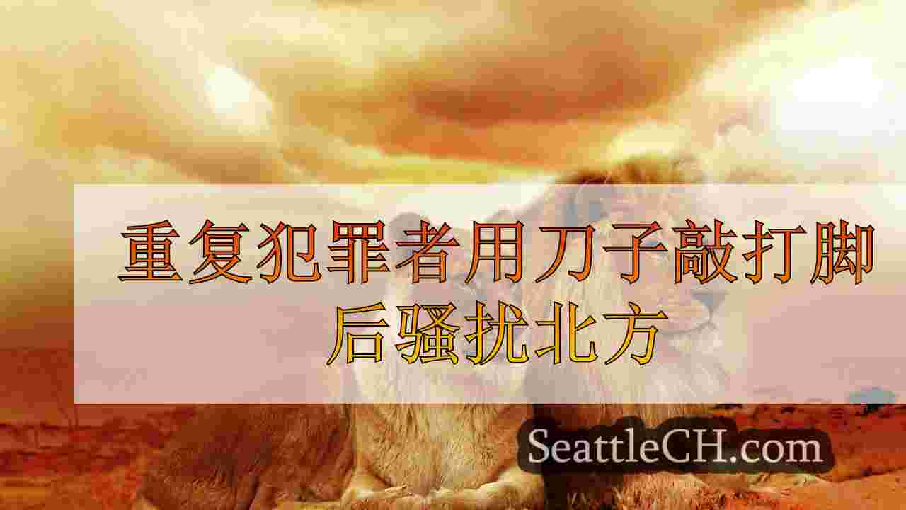 西雅图新闻 SeattleCH