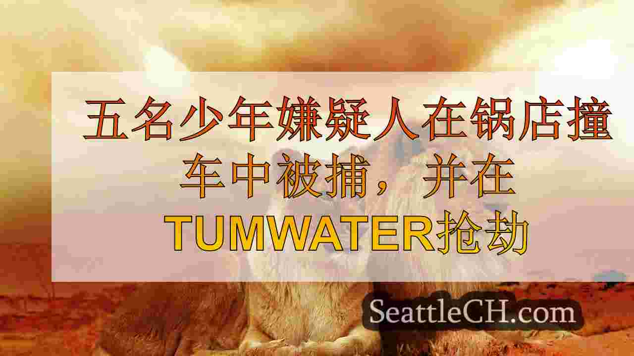 西雅图新闻 SeattleCH