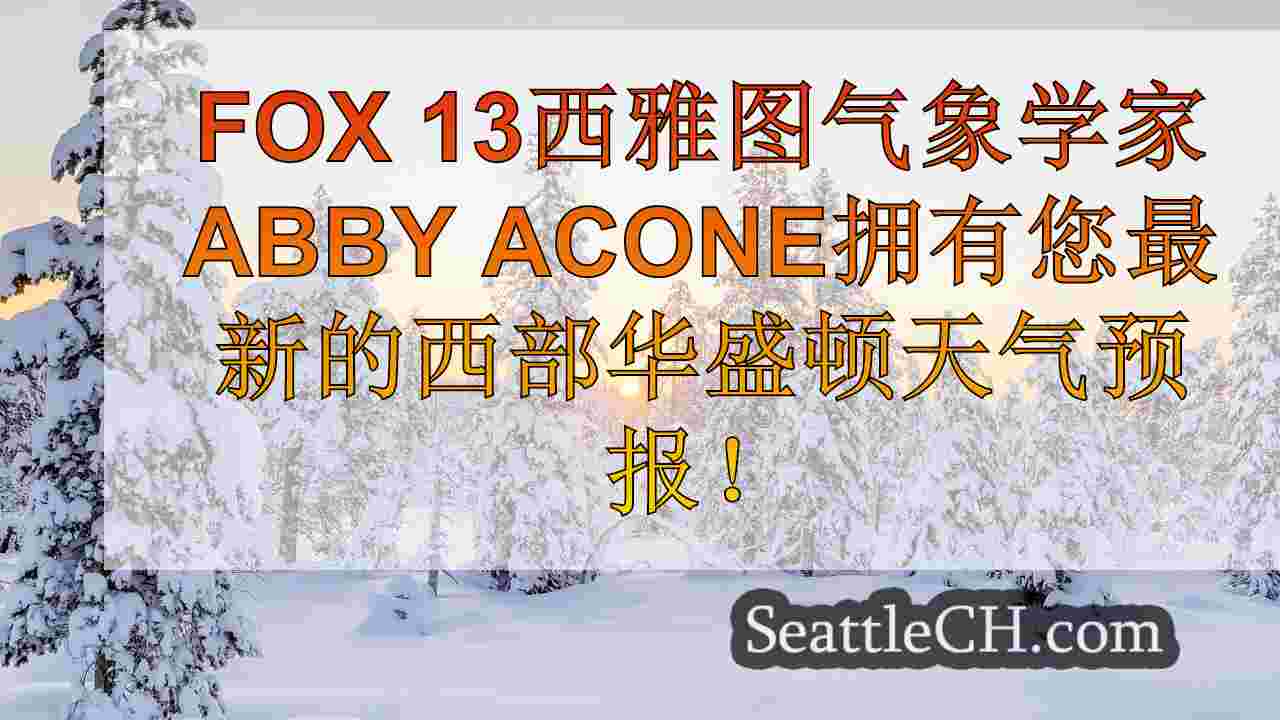 西雅图新闻 SeattleCH