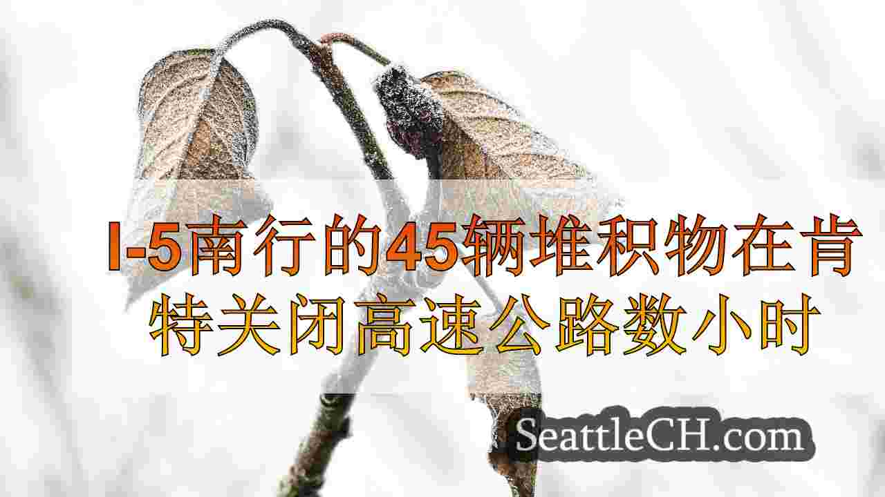 西雅图新闻 SeattleCH