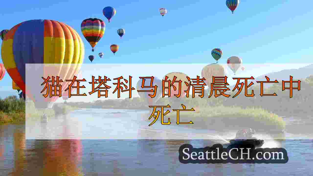 西雅图新闻 SeattleCH