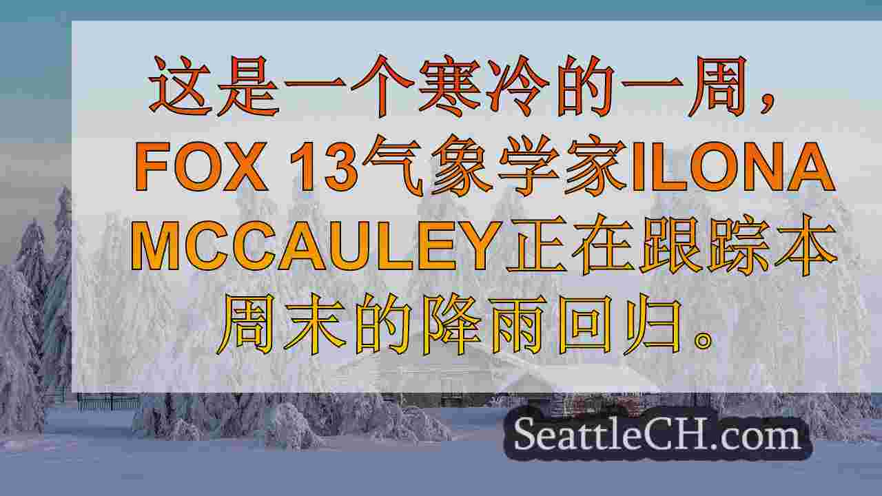 西雅图新闻 SeattleCH