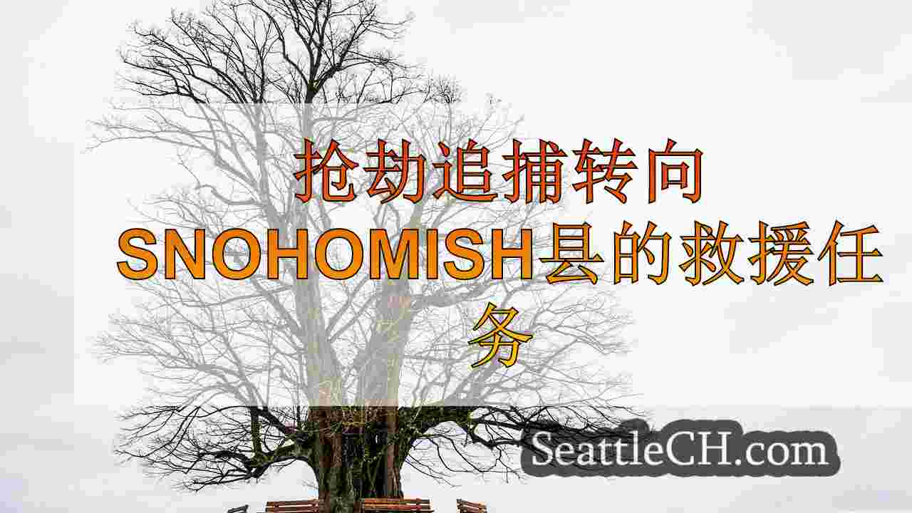 西雅图新闻 SeattleCH
