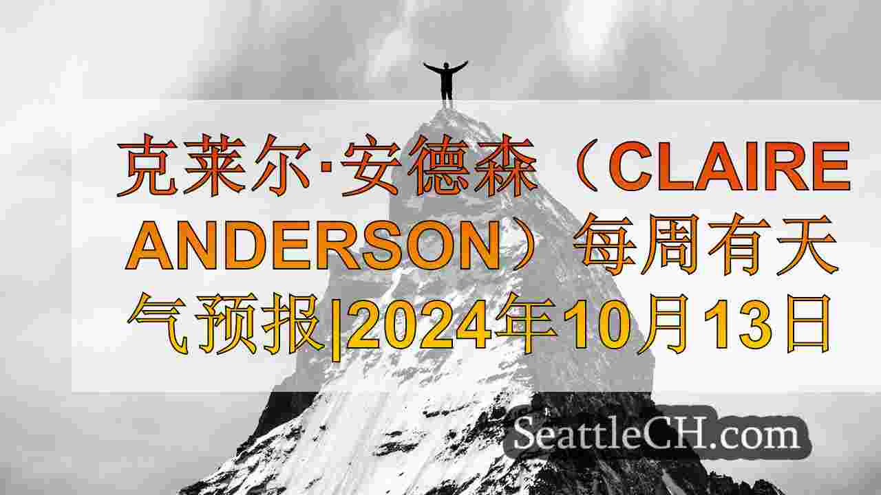 西雅图新闻 SeattleCH