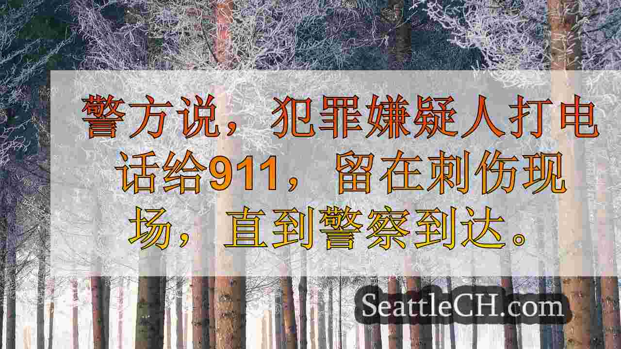 西雅图新闻 SeattleCH