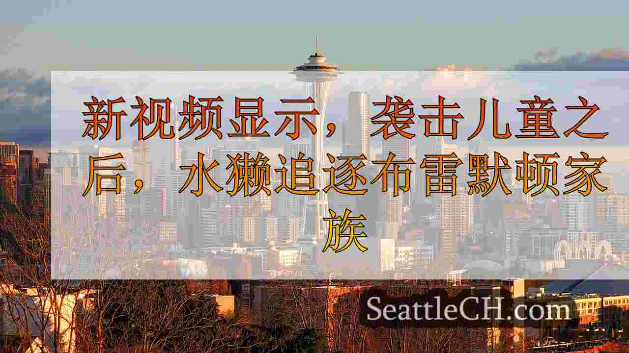 新视频显示，袭击儿童之后，水獭追逐布雷默顿家族