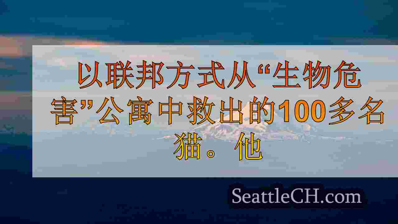 西雅图新闻 SeattleCH