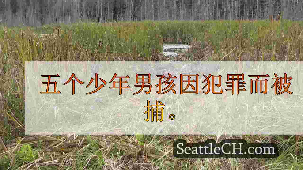 警方：青少年罗布·图米瓦特锅店，大通的主要当局在沼泽中结束
