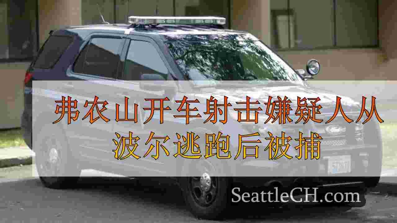 弗农山开车射击嫌疑人在从警察逃跑后被捕，被捕在贝灵汉