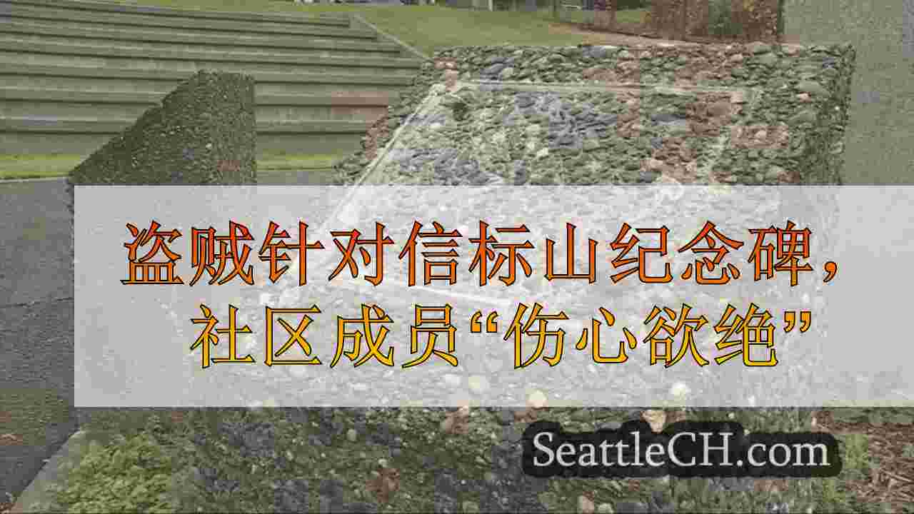 盗贼针对信标山纪念碑，社区成员“伤心欲绝”