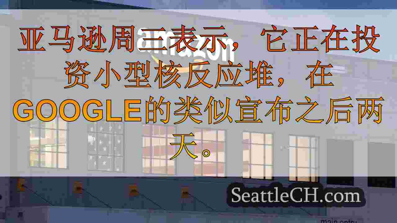 亚马逊加入Google进行核电，眼睛小反应堆可持续的力量