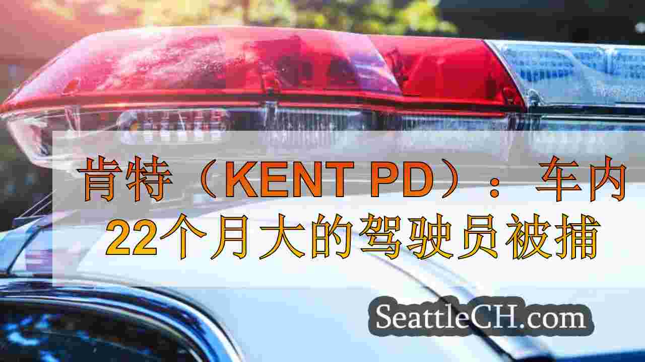 肯特（Kent PD）：车内22个月大的驾驶员被捕