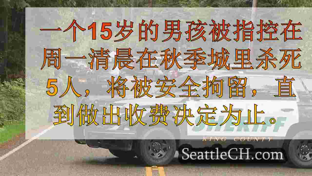 法院命令被指控在秋季城市杀害5次杀害5的青少年持有安全拘留
