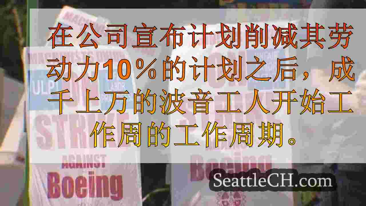 西雅图新闻 SeattleCH