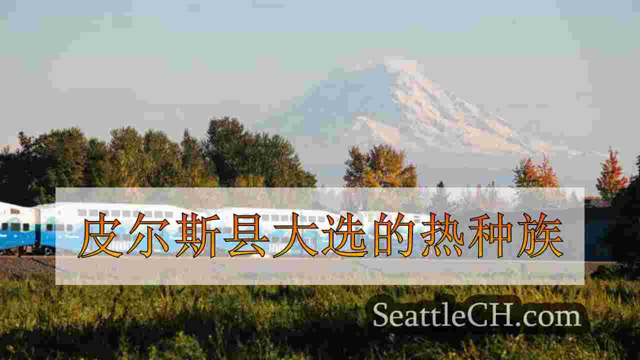 皮尔斯县大选的热种族