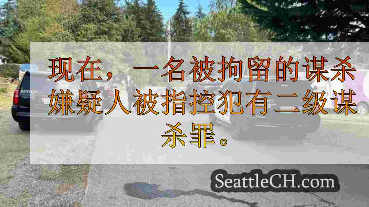 西雅图新闻 SeattleCH