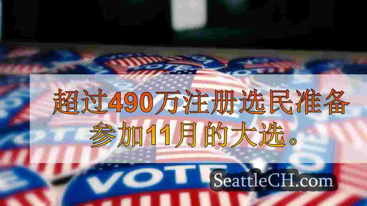这是关于11月大选投票的知识