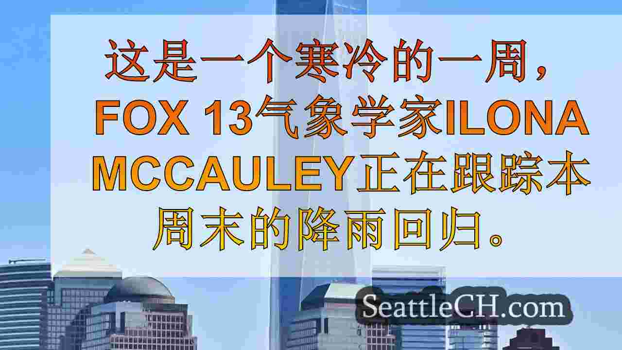 西雅图新闻 SeattleCH