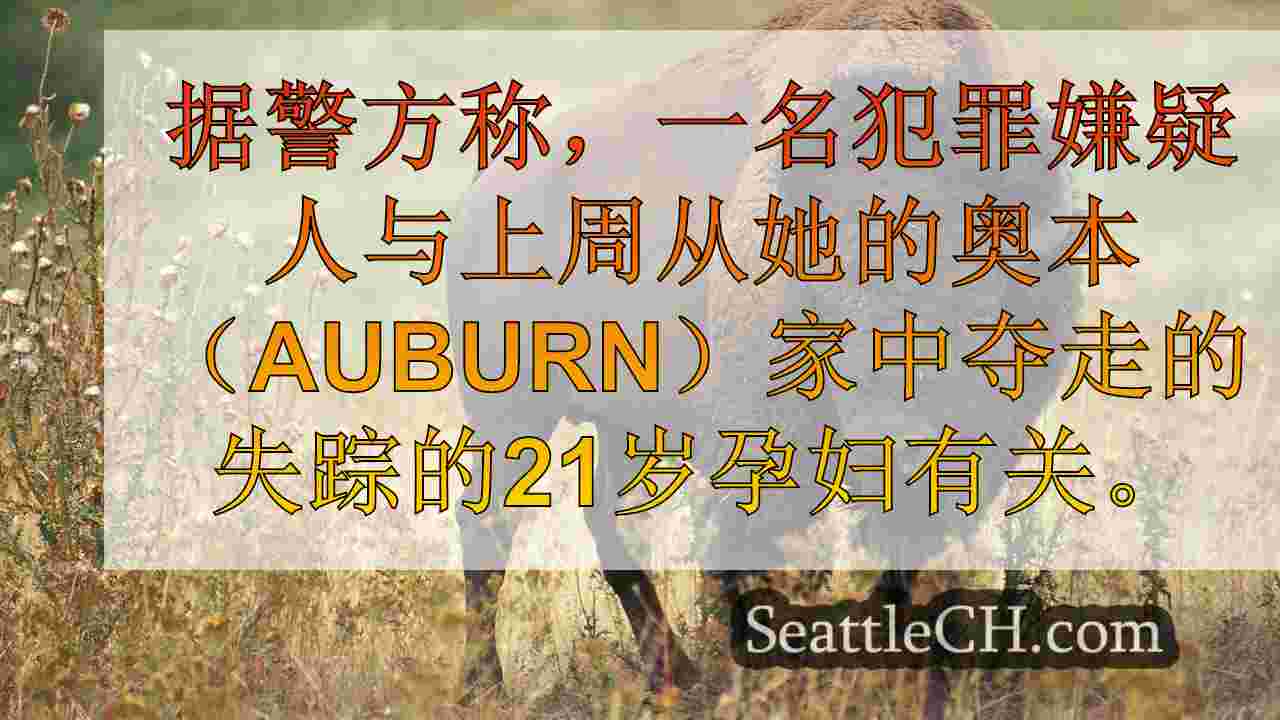 西雅图新闻 SeattleCH