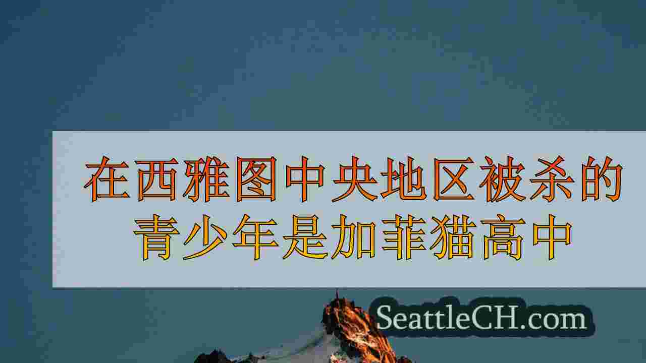 在西雅图中央地区被杀的青少年是加菲猫高中学生