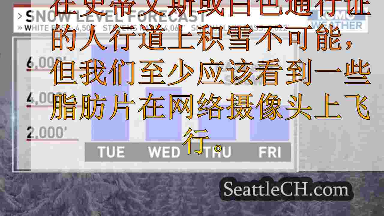 西雅图新闻 SeattleCH