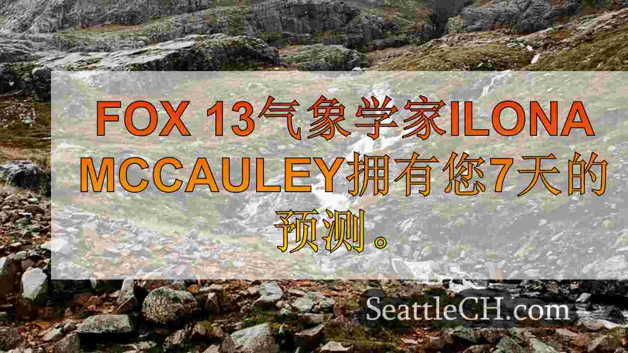 西雅图天气：周三干dry，下午通过淋浴