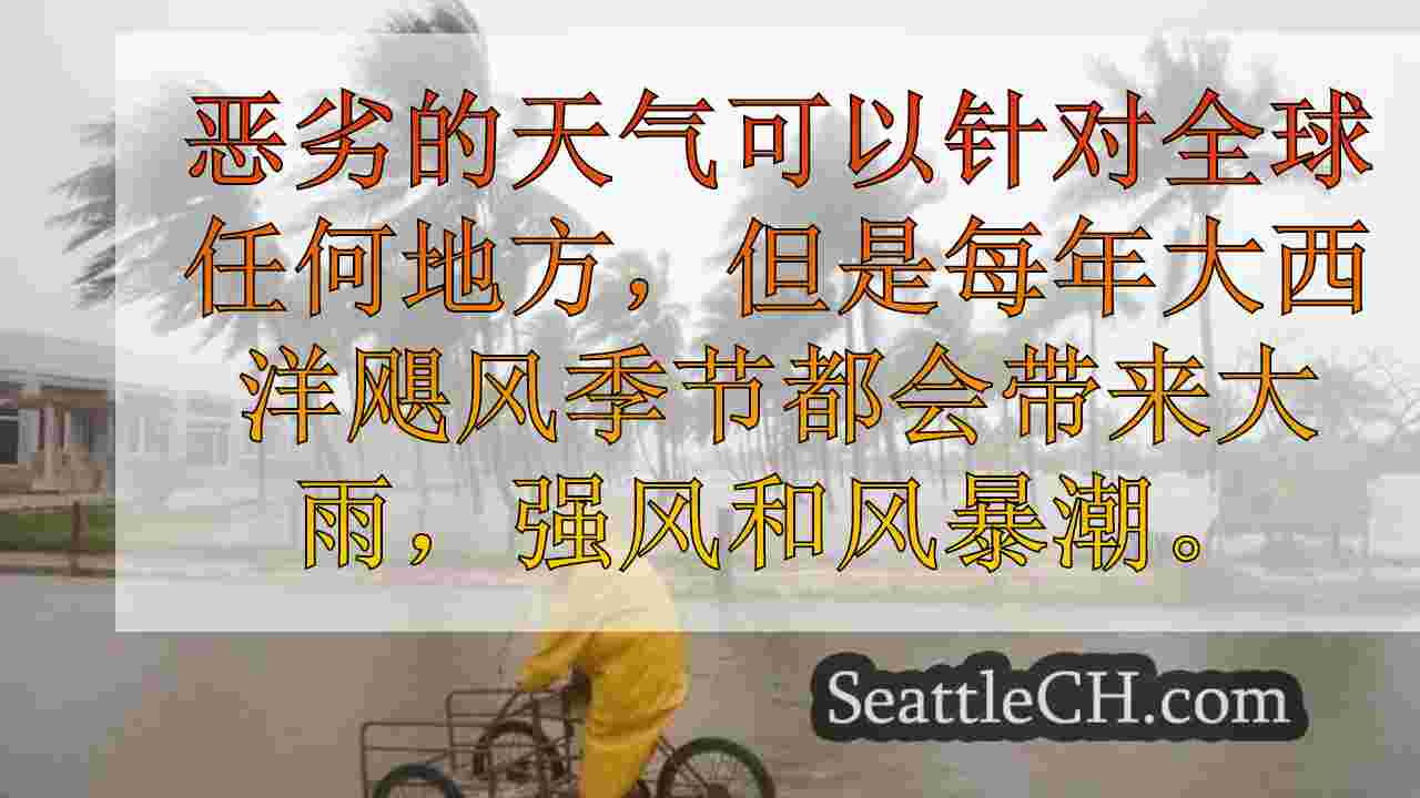 西雅图新闻 SeattleCH