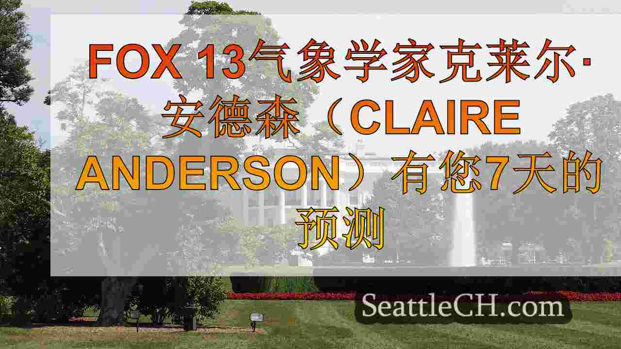 西雅图新闻 SeattleCH